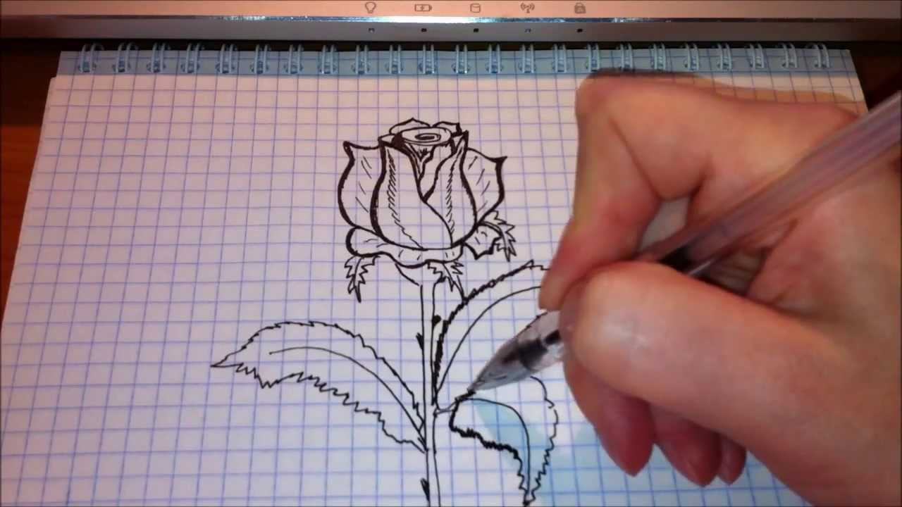 Рисунки гелевой ручкой по клеточкам: Рисунки гелевой ручкой черной для начинающих на бумаге