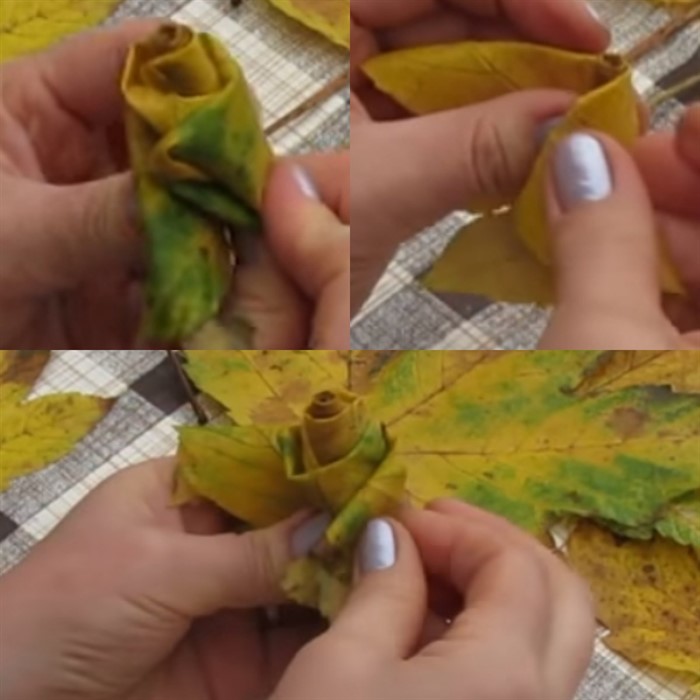 Как сделать цветок из листьев клена: Роза из листьев Клена. Как сделать цветок