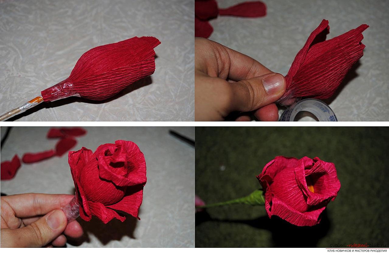 Как из гофрированной бумаги и конфет сделать букет: Как сделать цветы из конфет и гофрированной бумаги своими руками?