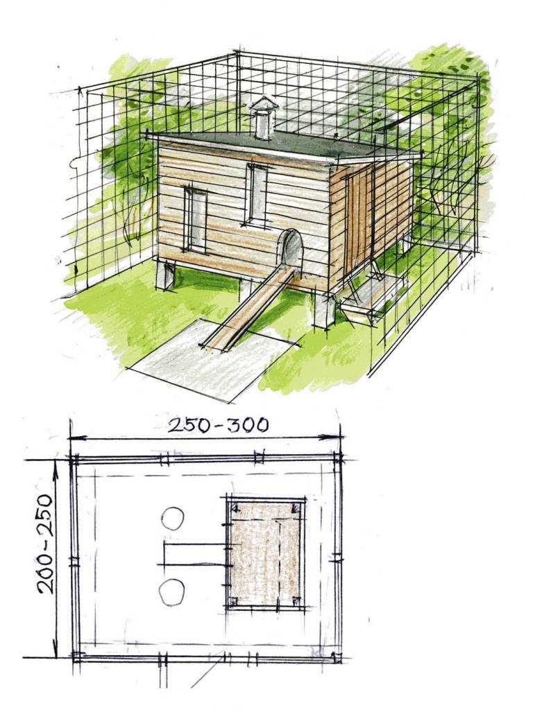 Курятник на 20 кур своими руками чертежи: как построить сарай для кур своими руками, красивый проект для строительства конструкции на 50 голов