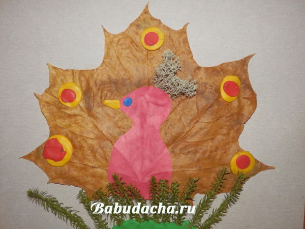 Осенние поделки павлин из листьев: Павлин из каштанов, мастер - класс с фото, пошагово
