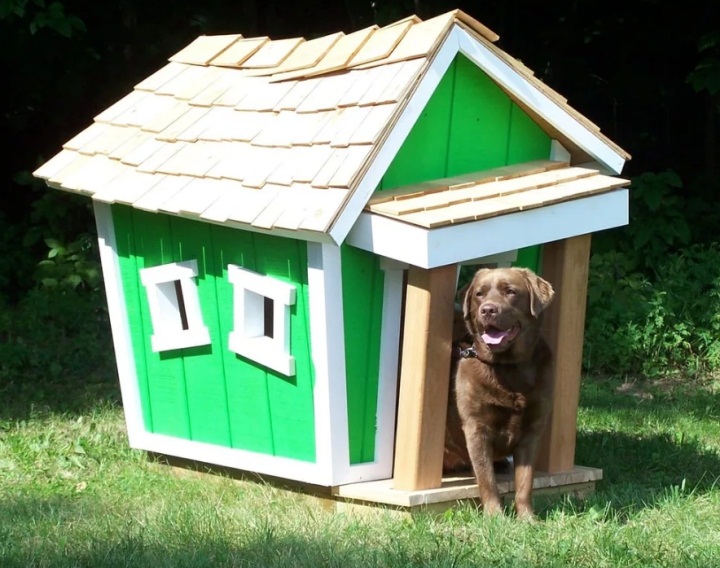 Из чего сделать будку для собаки своими руками: Будка для собаки: чертежи, размеры, фото
