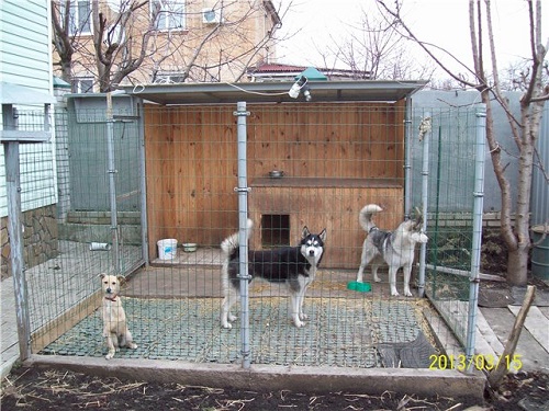 Вольер для собаки домашний своими руками фото: Вольеры для собак в квартиру