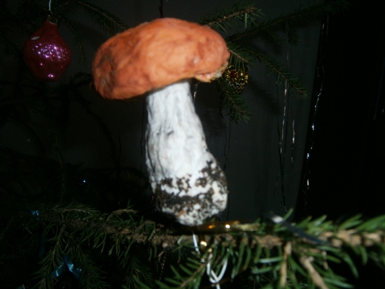 Поделка из древесного гриба: Древесный гриб для поделок