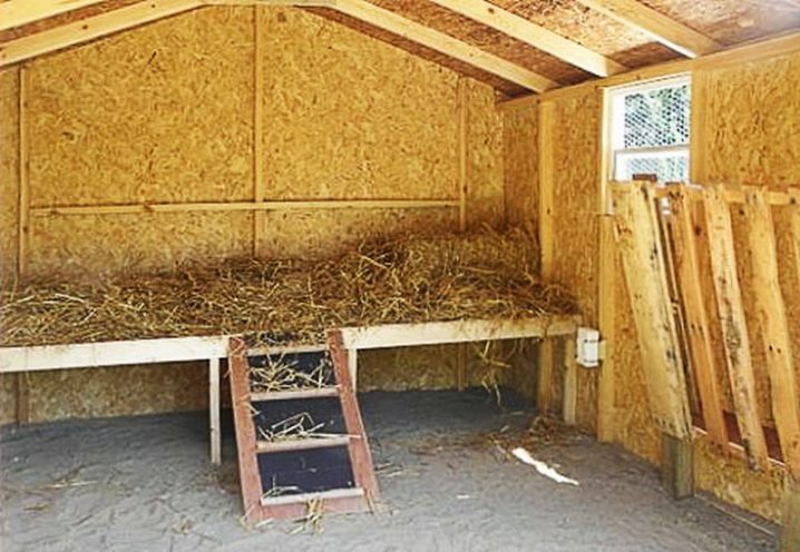 Сарай для животных своими руками фото: Как построить сарай для скотины своими руками с минимальными затратами