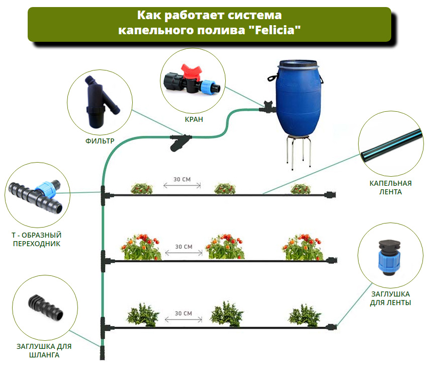 Устройство капельного полива на приусадебном участке: пошаговое руководство. Схемы подключения, описание оборудования.
