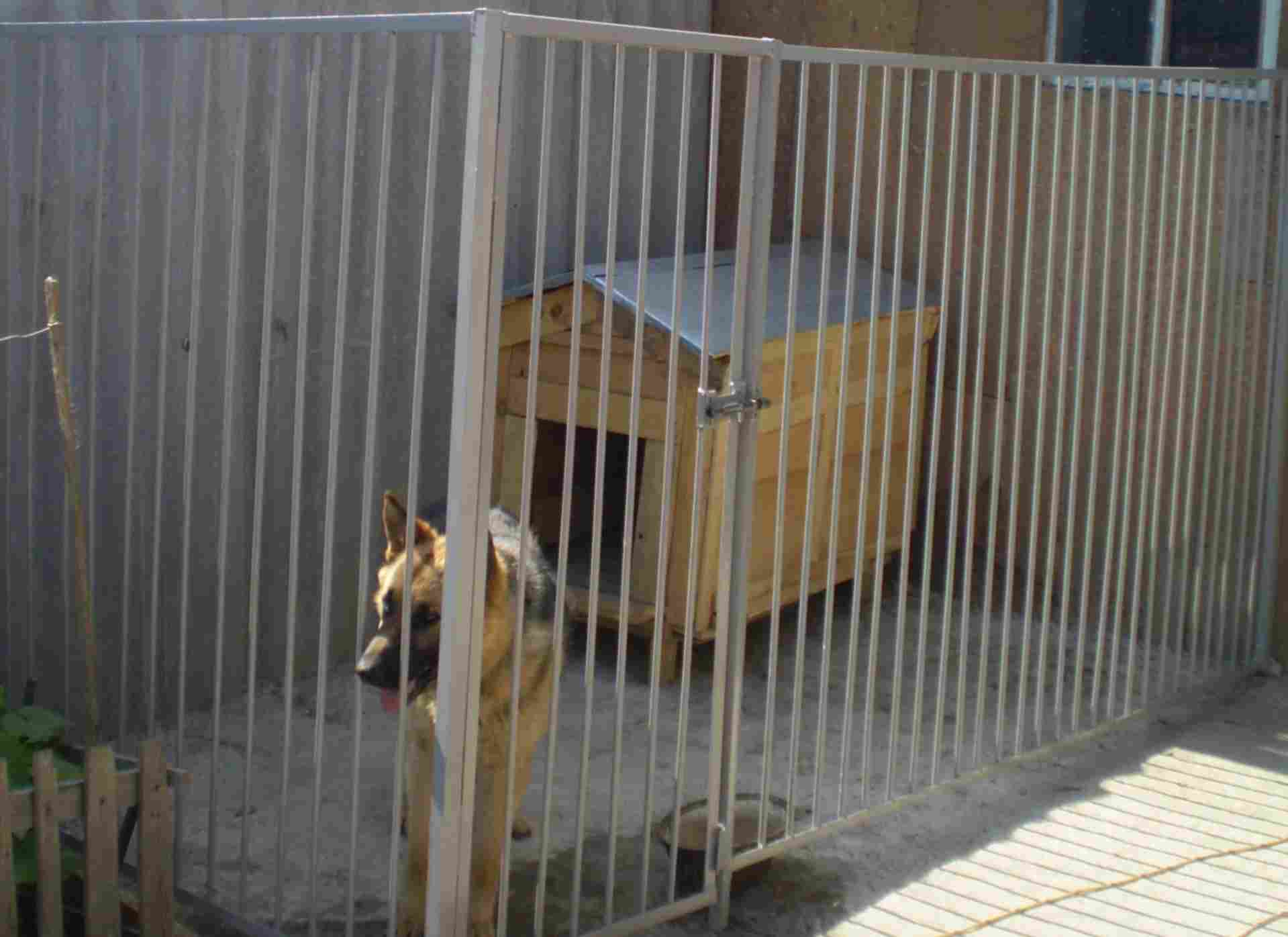 Пол в вольере для собаки: Уличный вольер для собаки. Самые распространенные ошибки строителей.