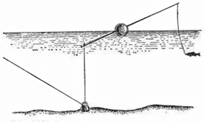 Браконьерские снасти для ловли рыбы своими руками: Браконьерские снасти для ловли рыбы