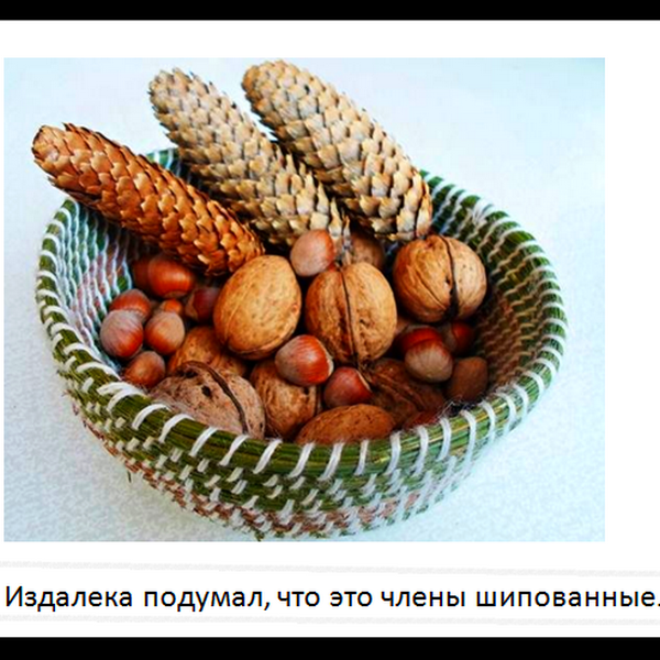 Поделки из иголок хвойных деревьев: плетение, мастер класс елки из шишек, лстьев и сосновых иголок, еловых и пихты