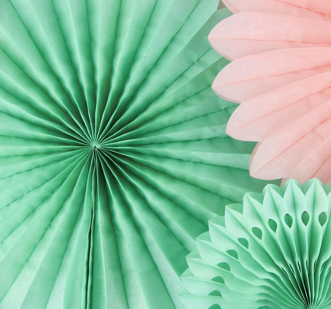 Цветы веера из бумаги своими руками: 85 фото описания изготовления из различных материалов