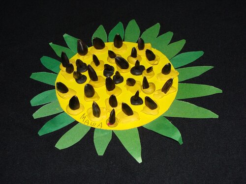 Поделка в детский сад подсолнух: Поделки из семечек подсолнуха для детей и взрослых