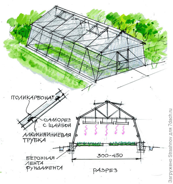 Теплица чертежи проекты: схемы на фото, проекты с размерами