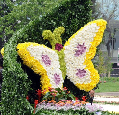 Вироби з квітів на виставку: Віночки та обручі з квітів: підбірка ідей та майстер-класи