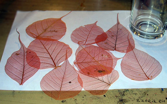 На какой клей лучше клеить листья деревьев на бумагу: Как приклеить листья деревьев к бумаге?