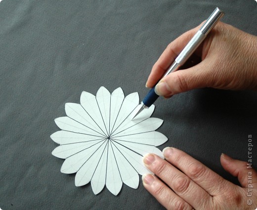 Как сделать бумажный белый цветок своими руками: Цветы из бумаги своими руками: схемы и шаблоны