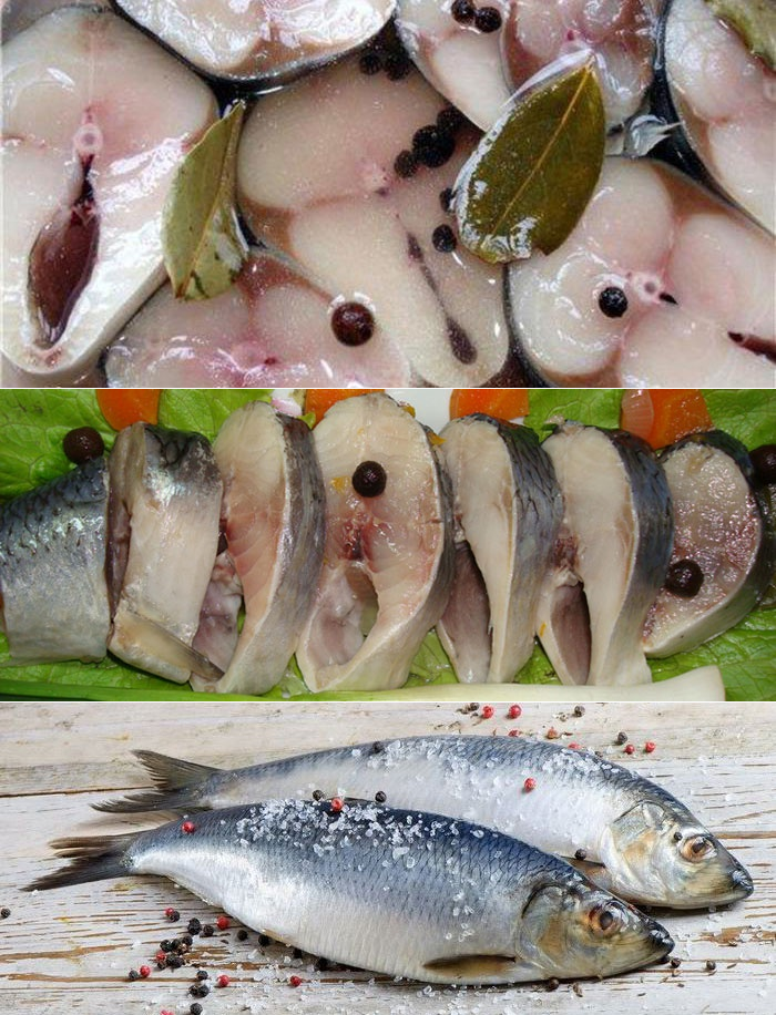 Как быстро посолить рыбу: 7 способов быстро и вкусно засолить скумбрию в домашних условиях - БУДЕТ ВКУСНО!