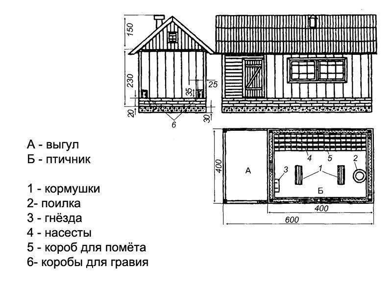 Планировка курятника: Устройство зимнего курятника: планировка, утепление, обогрев