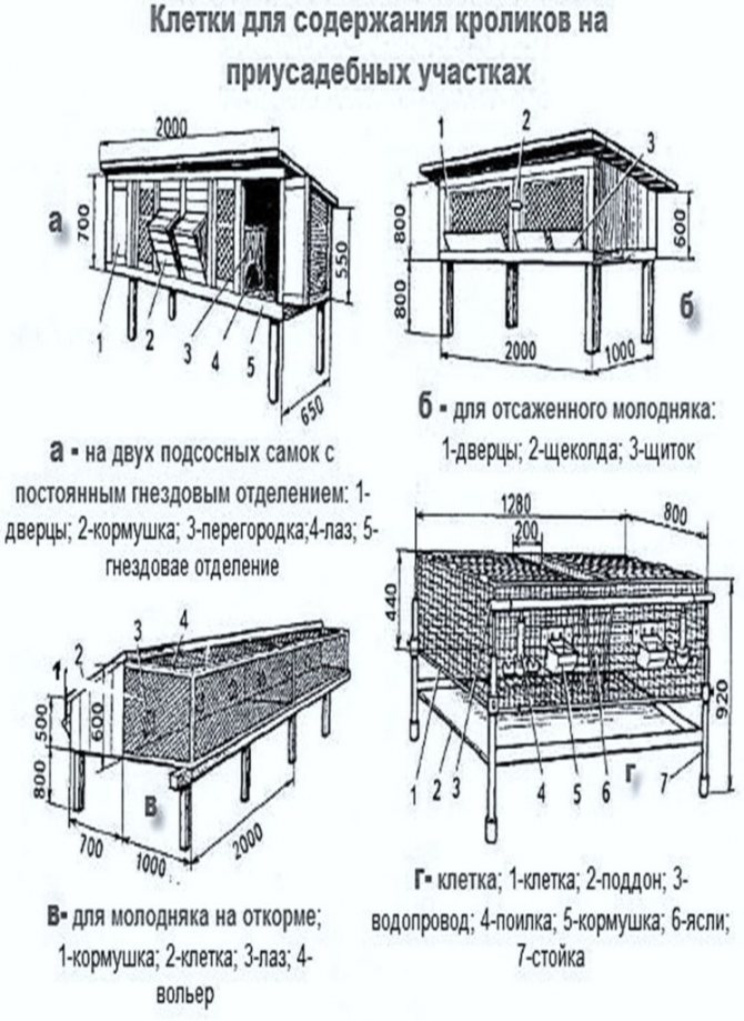 Размеры клетки для кроликов чертежи: Страница не найдена -