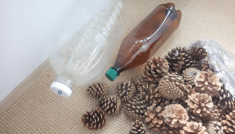 Поделка ежик из семечек и пластиковой бутылки: Ежик из пластиковых бутылок и семечек