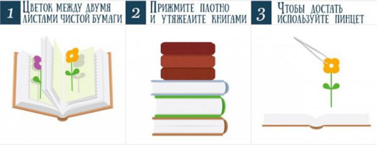 Поделки из листочков: быстро и красиво. Идеи для детского сада и школы