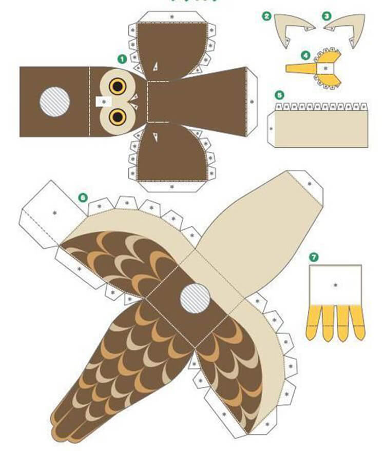 Сова объемная: Как сделать сову из бумаги