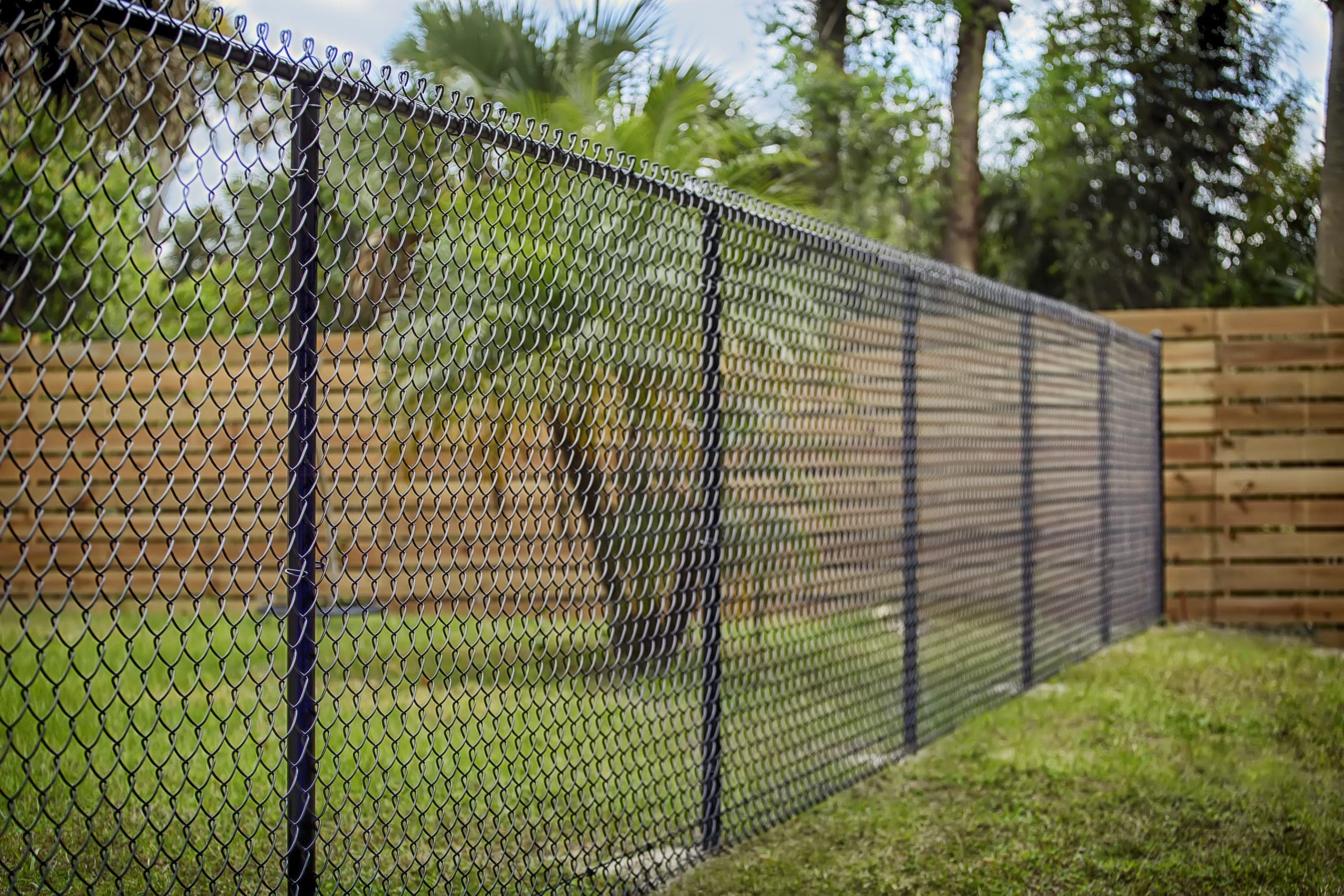 Забор из рабицы фото необычные: Забор из сетки-рабицы - 115 фото лучших конструкций и особенности их монтажа