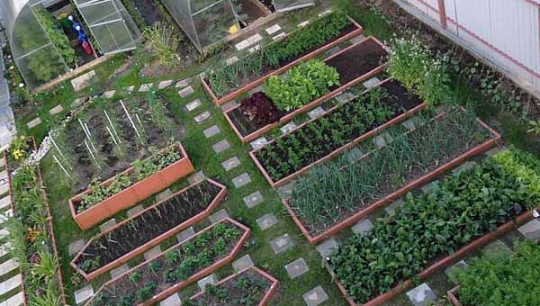 Дизайн огорода и сада своими руками: Красивый ландшафтный дизайн огорода: 48 фото идей