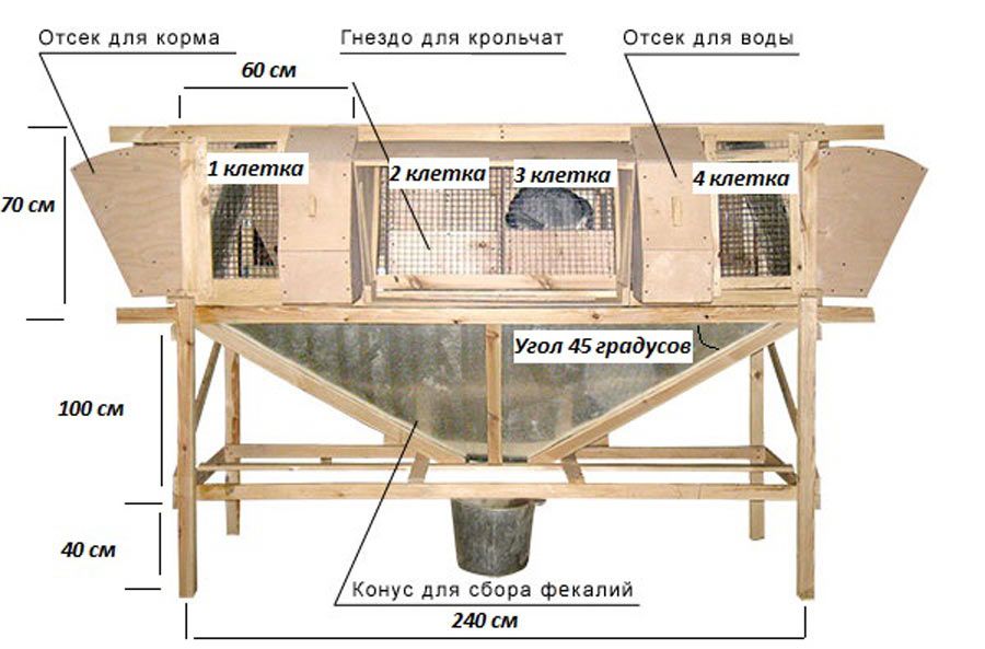 Размеры клетки для кроликов чертежи: Страница не найдена -