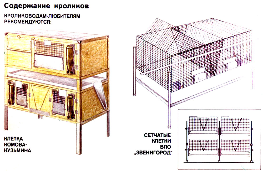 Изготовление клеток для кроликов своими руками чертежи: Клетки для кроликов своими руками (70 фото): идеи как сделать