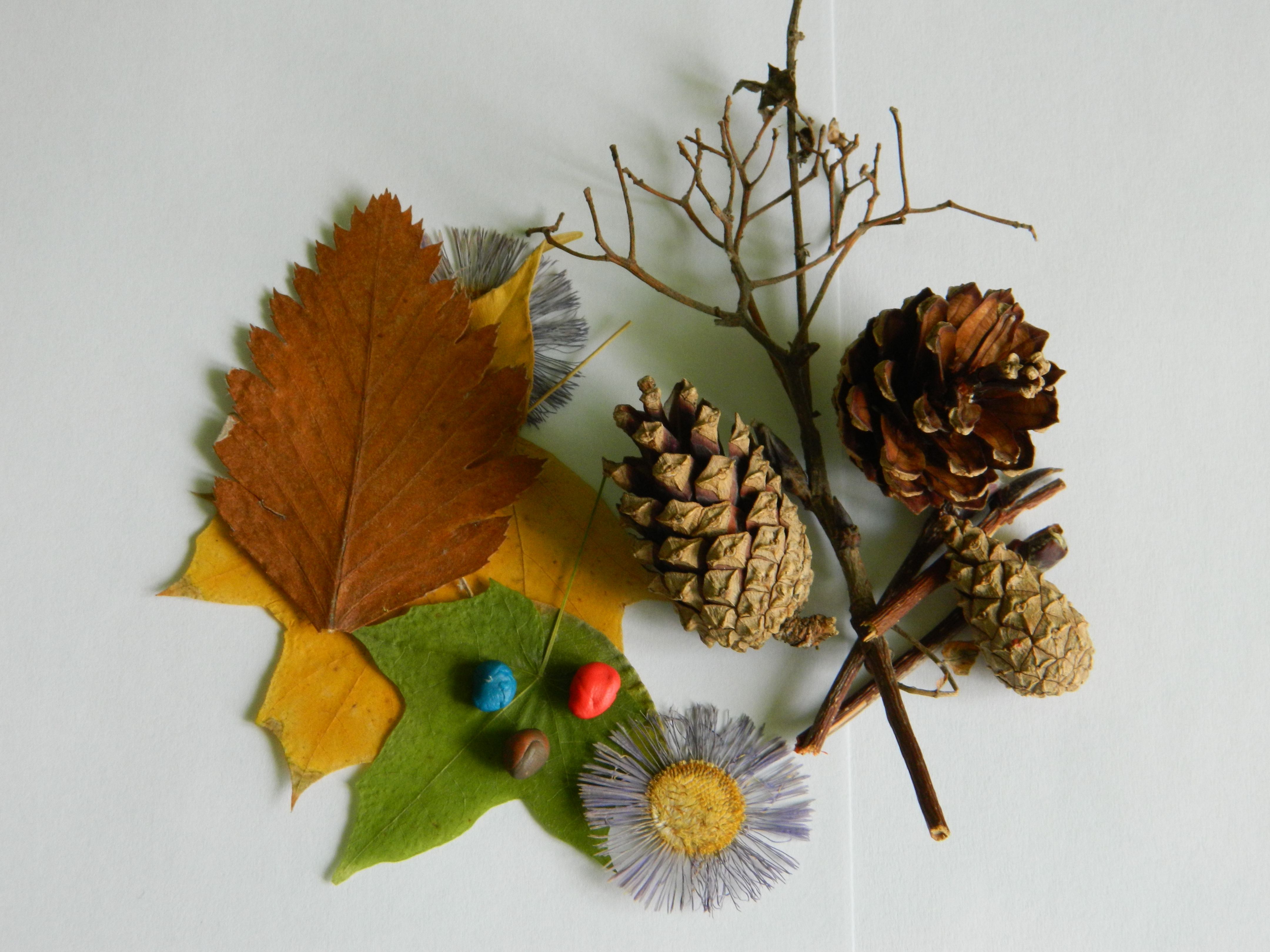 Осенние поделки в сад из шишек: Осенние поделки из шишек с детьми