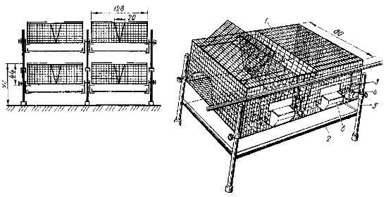 Клетки для кроликов промышленные чертежи с размерами: Клетки для кроликов своими руками: чертежи, размеры и пошаговая инструкция