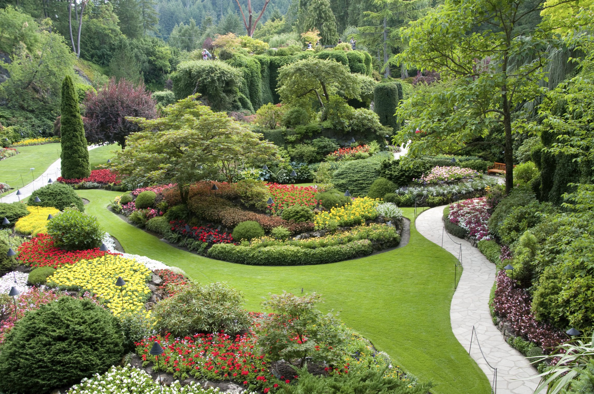 Сад ландшафтный дизайн: Участки и сады в скандинавском стиле – 135 лучших фото, ландшафтный дизайн участка, сада и огорода