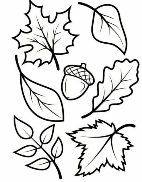 Листья ажурные из бумаги: Осенние листья из бумаги + шаблоны и трафареты для вырезания