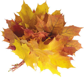 Осенний букет из листьев картинки: Attention Required! | Cloudflare