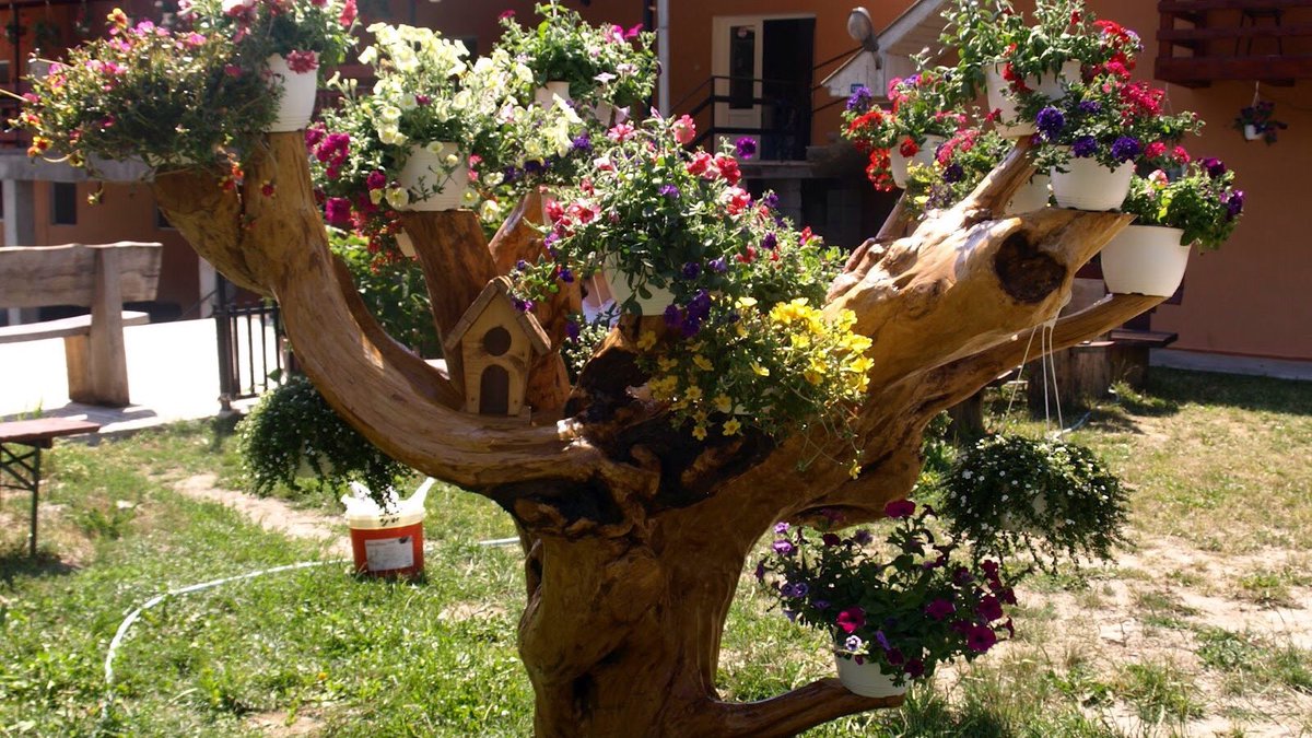 Поделки из дерева для сада: Поделки из дерева - советы и рекомендации экспертов по дизайну + 55 фото
