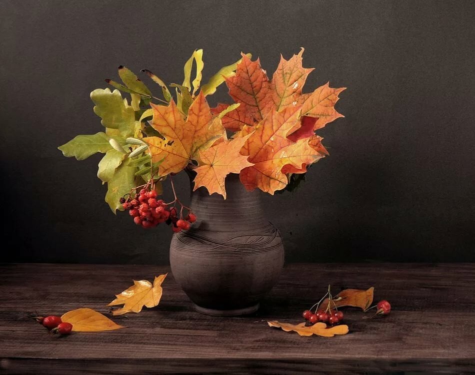 Картинки букеты из листьев: Осенний букет. Осень картинки. Дарю тебе яркий, осенний букет из листьев!