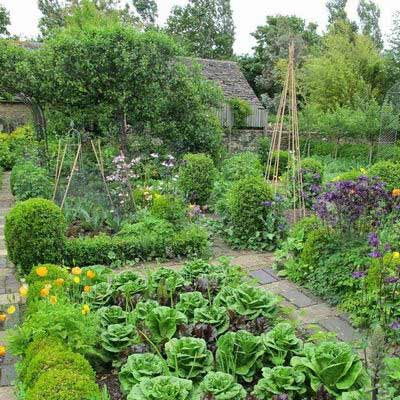 Как разбить огород и сад: Как разбить грядки: 7 способов распланировать огород