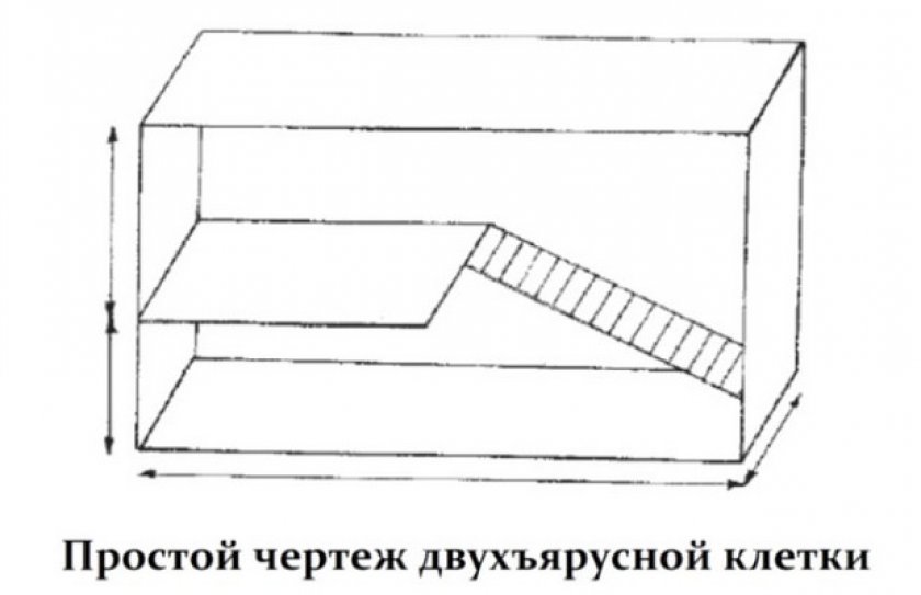 Чертеж клетки для грызуна