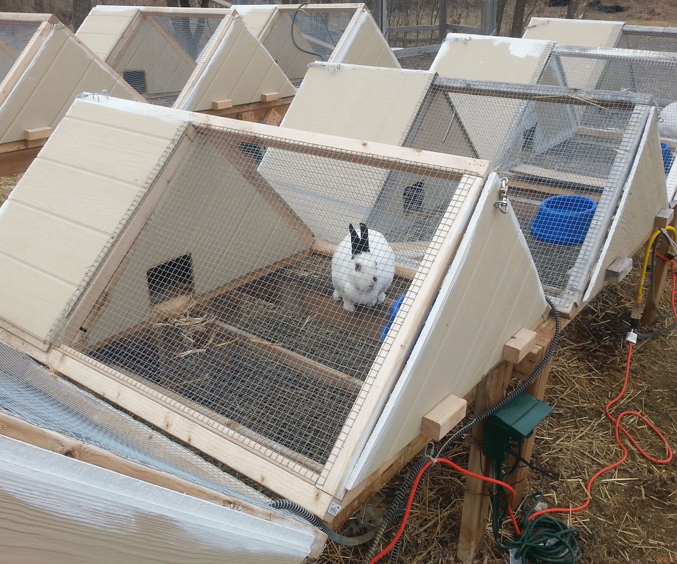 Клетки уличного содержания для кроликов: Страница не найдена — Всё о кроликах и не только
