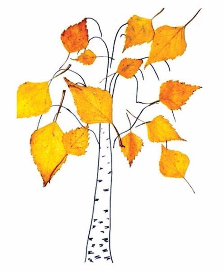 Аппликация осенних листьев: Аппликации из осенних листьев для детей, аппликация из листьев, детские поделки, фото