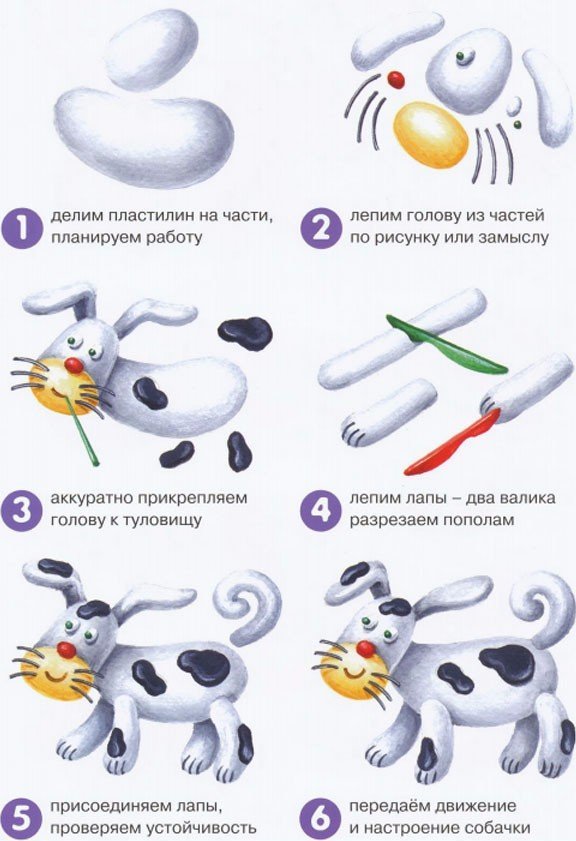 Схемы лепки из пластилина для детей: Лепим фигуры из пластилина. Мы научим вас как лепить из пластилина