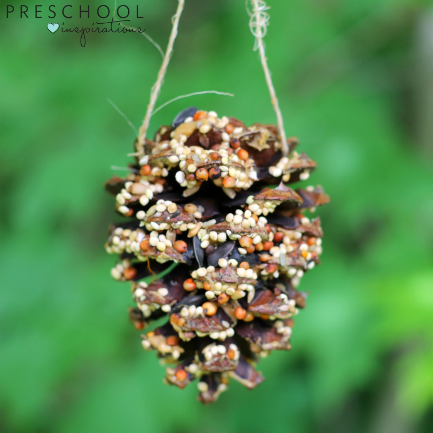 Completed pine cone bird feeders