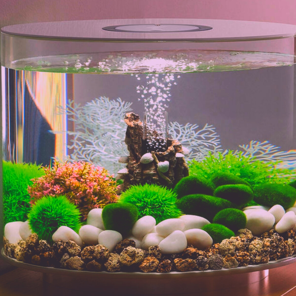 Оформление аквариумов фото: DG-HOME.RU - Проверка