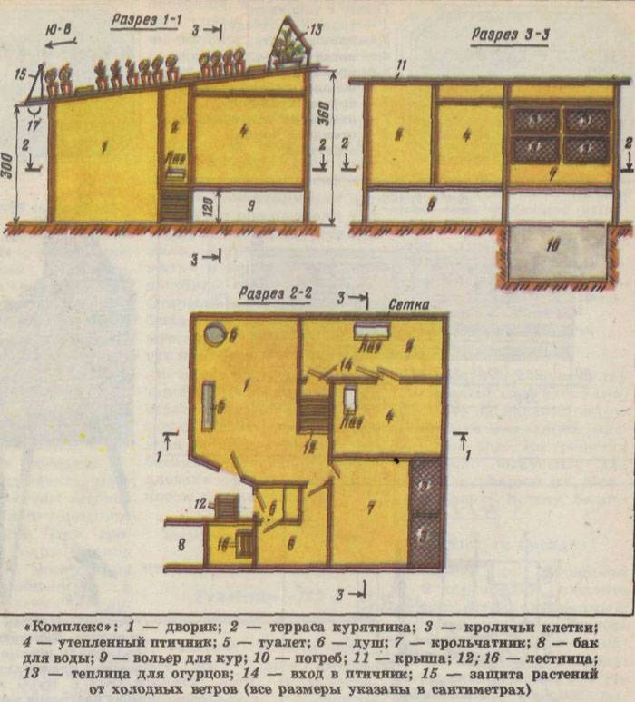 Планировка курятника: Устройство зимнего курятника: планировка, утепление, обогрев