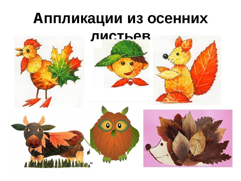 Аппликация из листьев 2 класс урок: Конспект урока по технологии на тему "Аппликация из осенних листьев Бабочка" (2 класс)