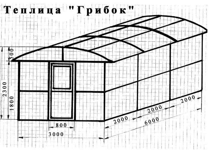 Теплица своими руками из поликарбоната чертежи: Чертежи теплицы из поликарбоната своими руками из профильной трубы