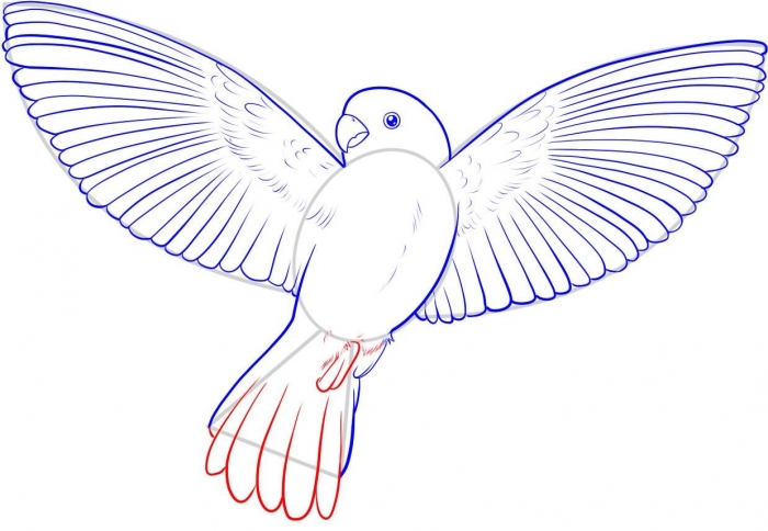 Голубь рисуем: Как нарисовать голубя поэтапно легко и просто — карандашом