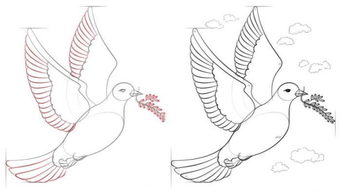 Голубь рисуем: Как нарисовать голубя поэтапно легко и просто — карандашом
