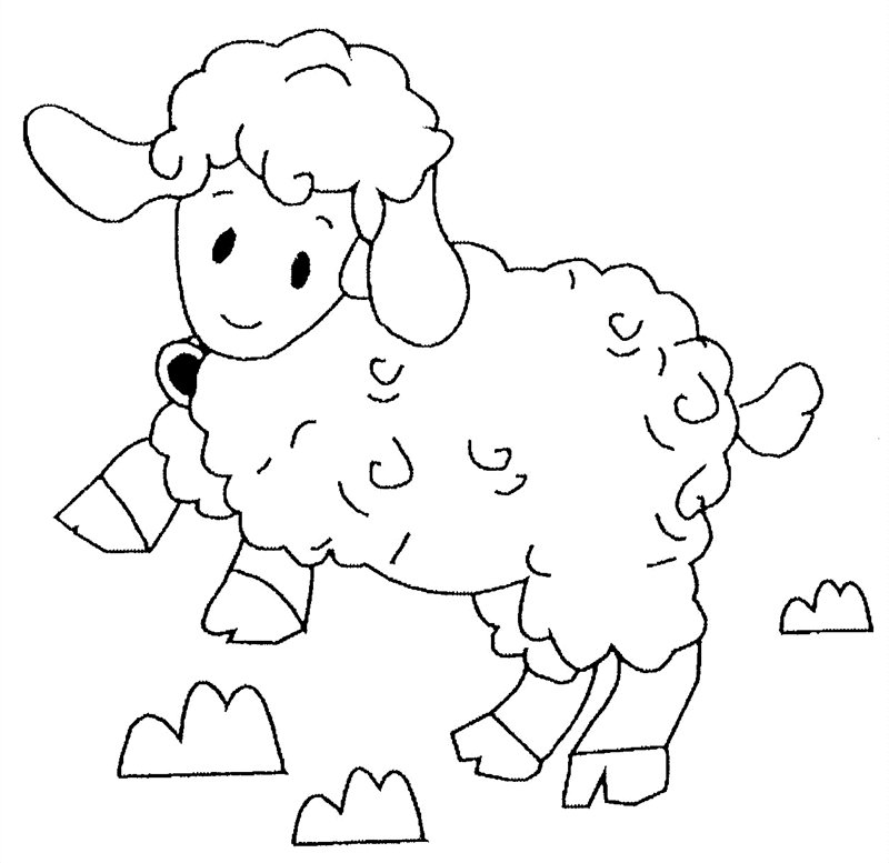 Шаблон овечки: Раскраска Овечка Скачать И Распечатать