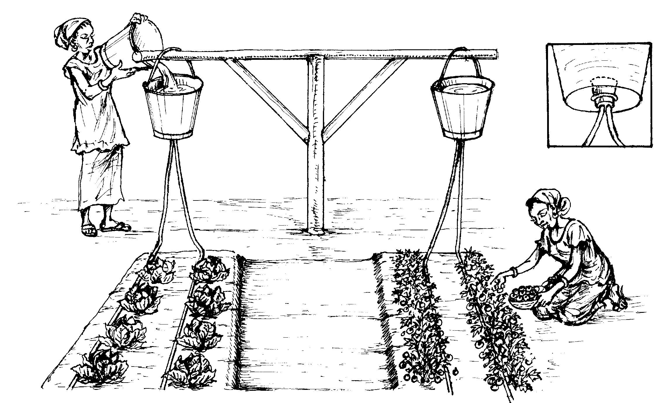 Автоматический полив огорода своими руками: Автоматический полив своими руками